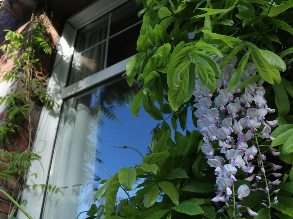 Studio Elisabeth Apartment บรูจส์ ภายนอก รูปภาพ